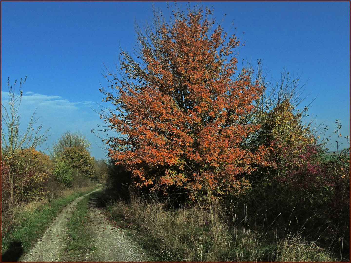 Herbstfarben