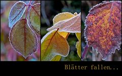 Herbstfarben