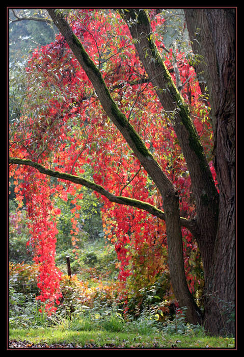 Herbstfarben