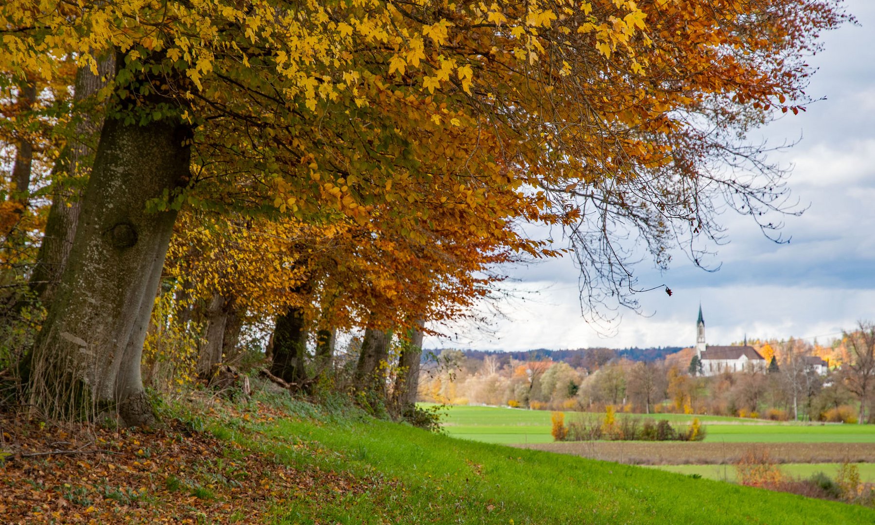 Herbstfarben