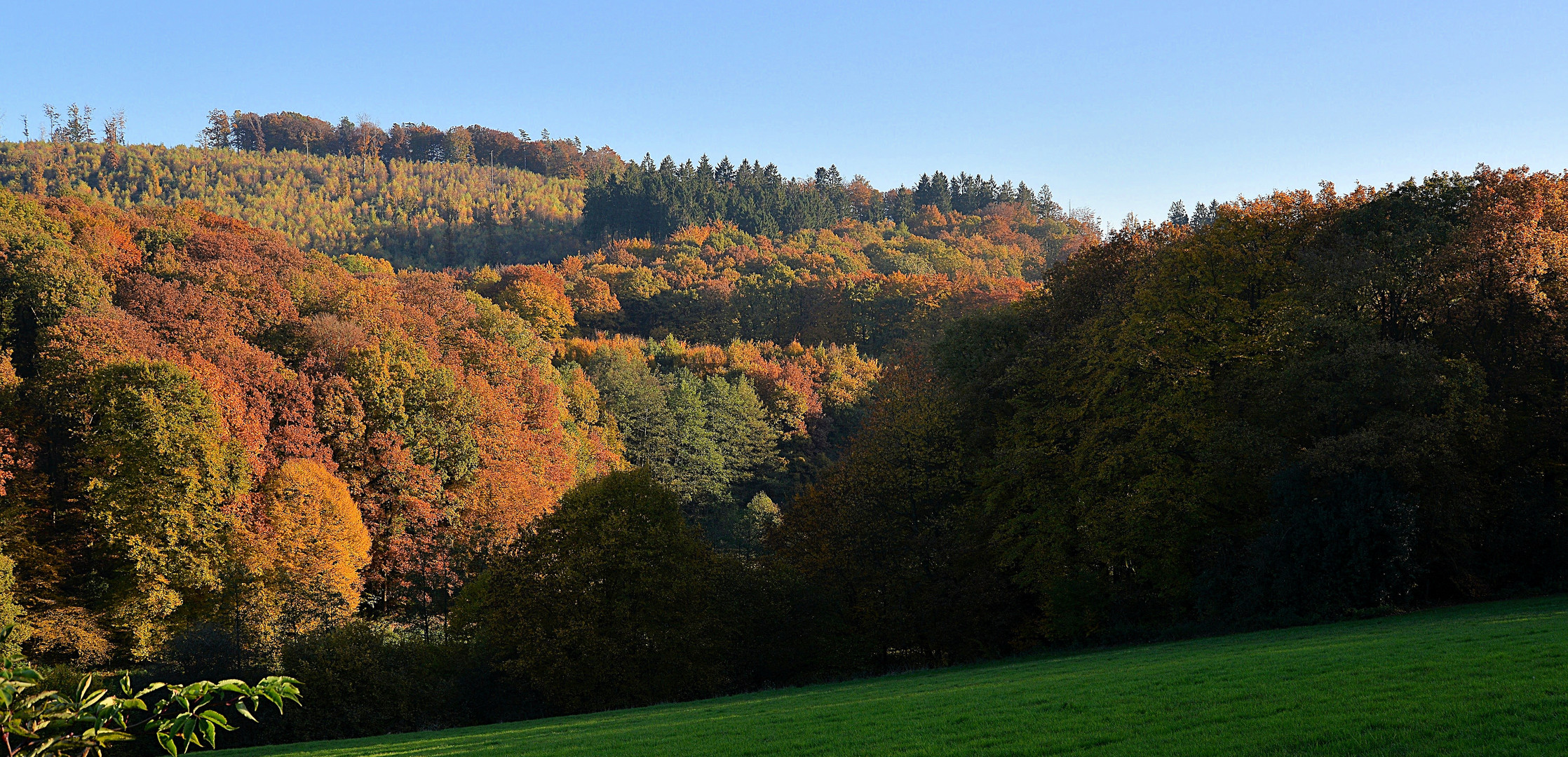 Herbstfarben