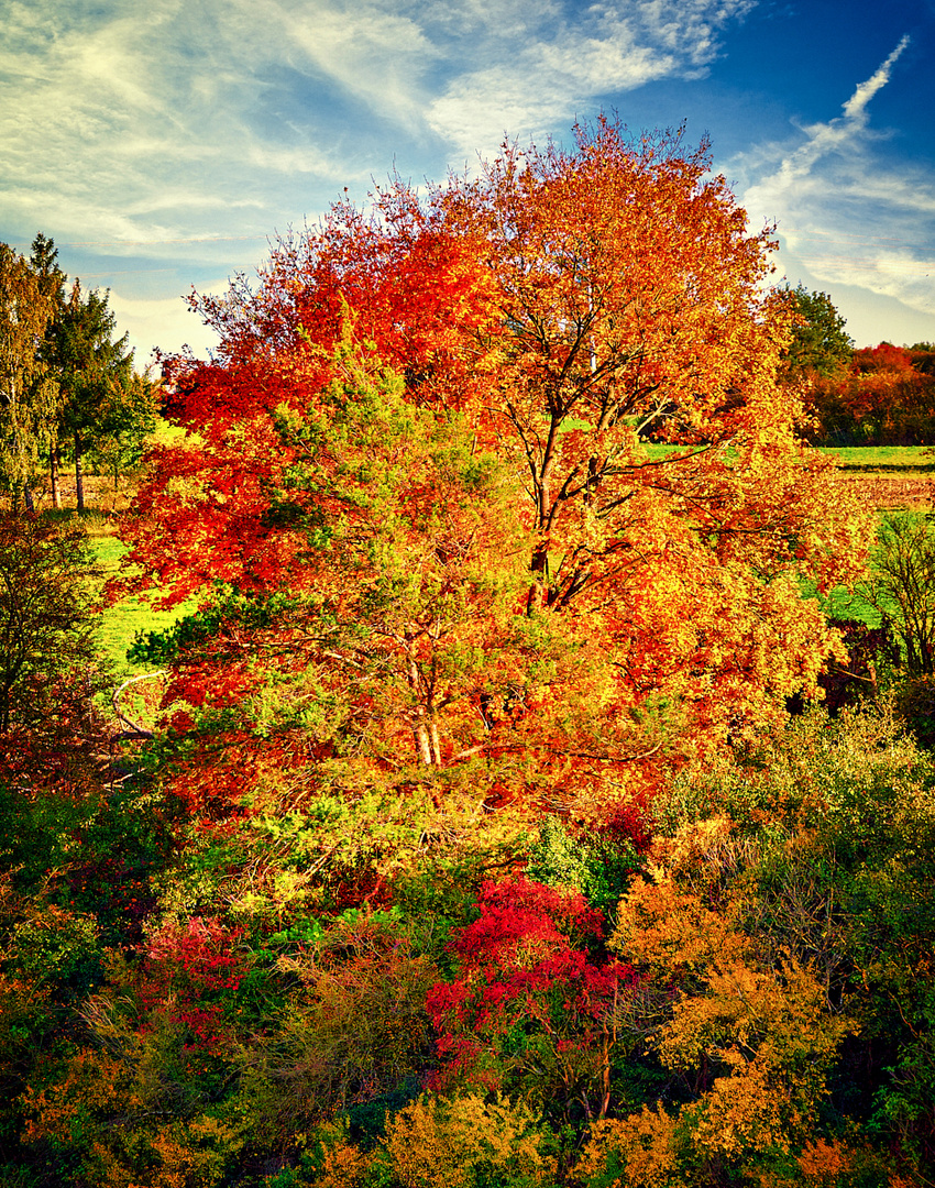 Herbstfarben