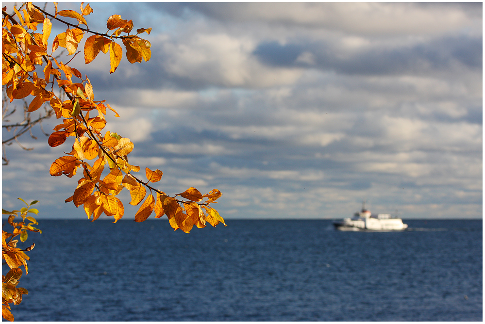 Herbstfarben..