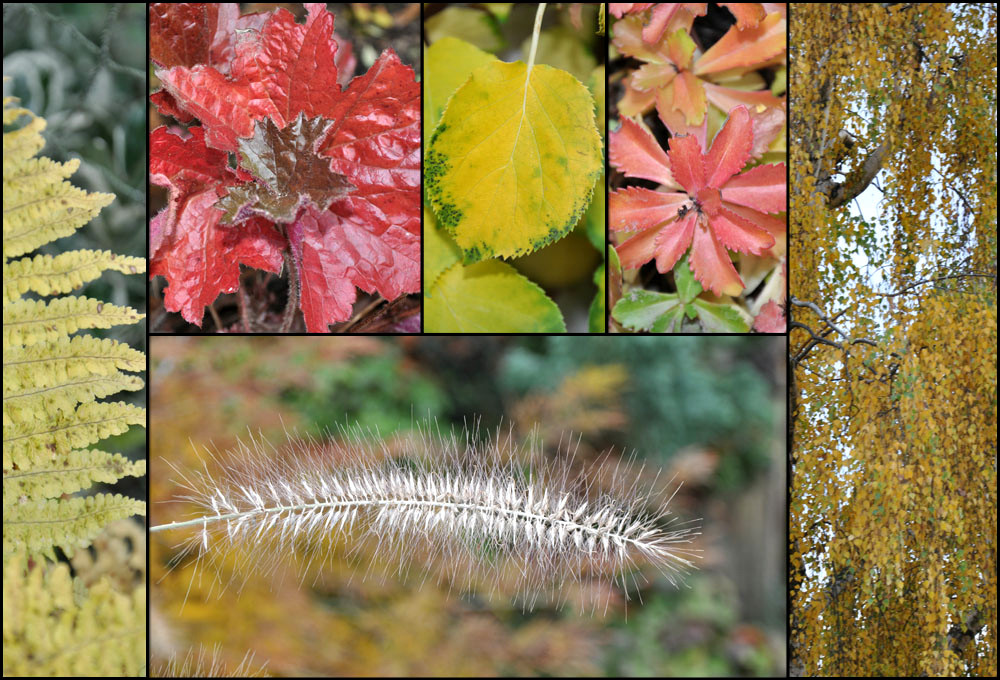 - HERBSTFARBEN -