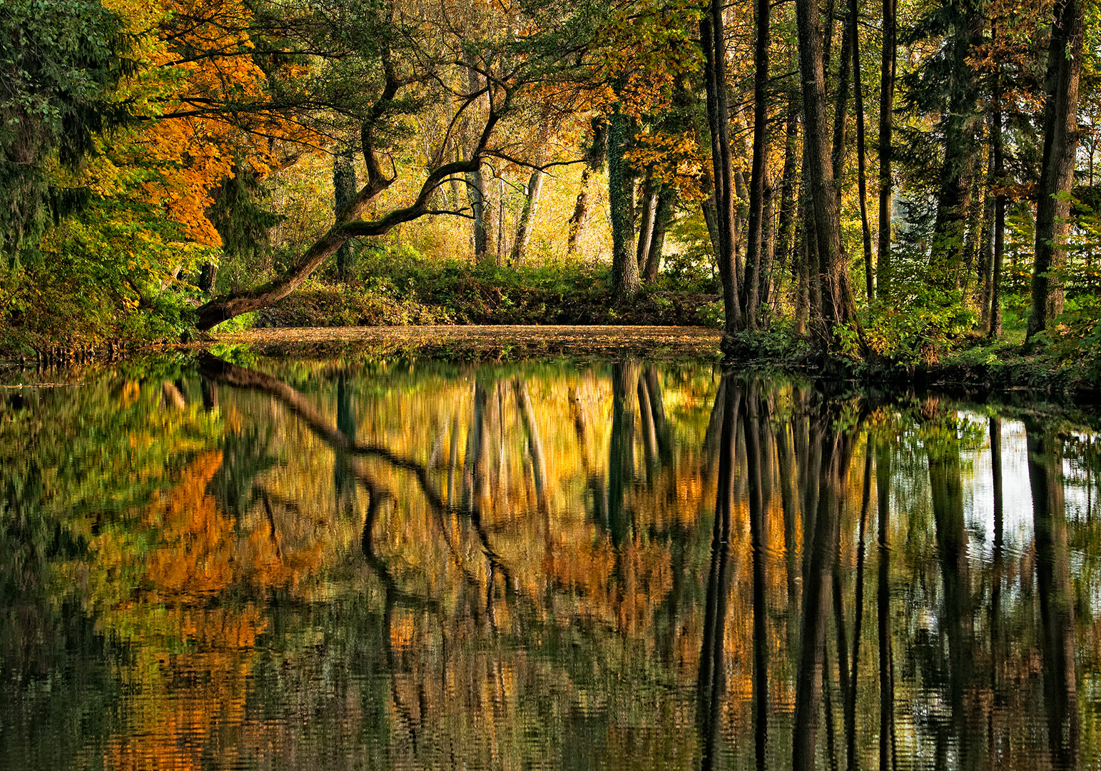 herbstfarben