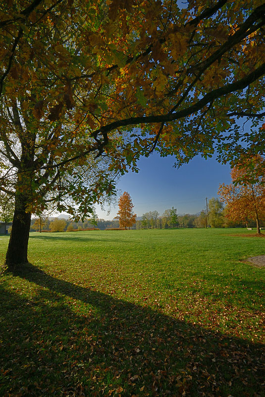 Herbstfarben 2