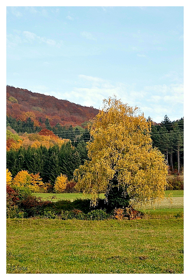 Herbstfarben 2