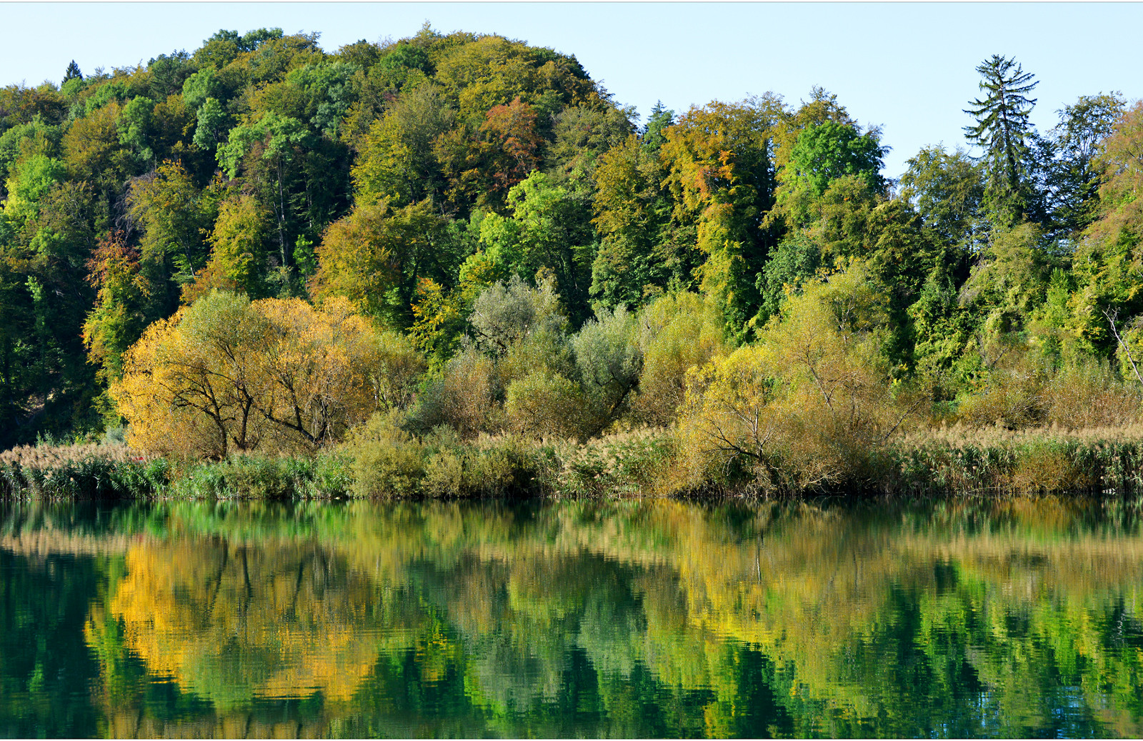 ...herbstfarben #2...