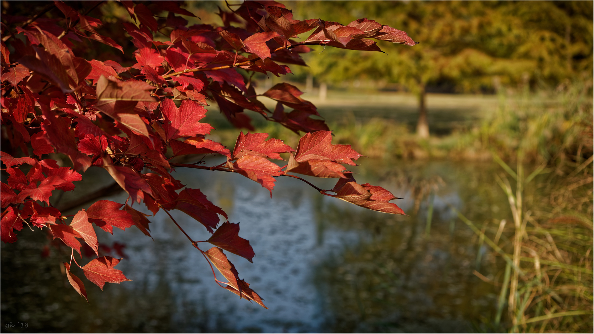 Herbstfarben 2