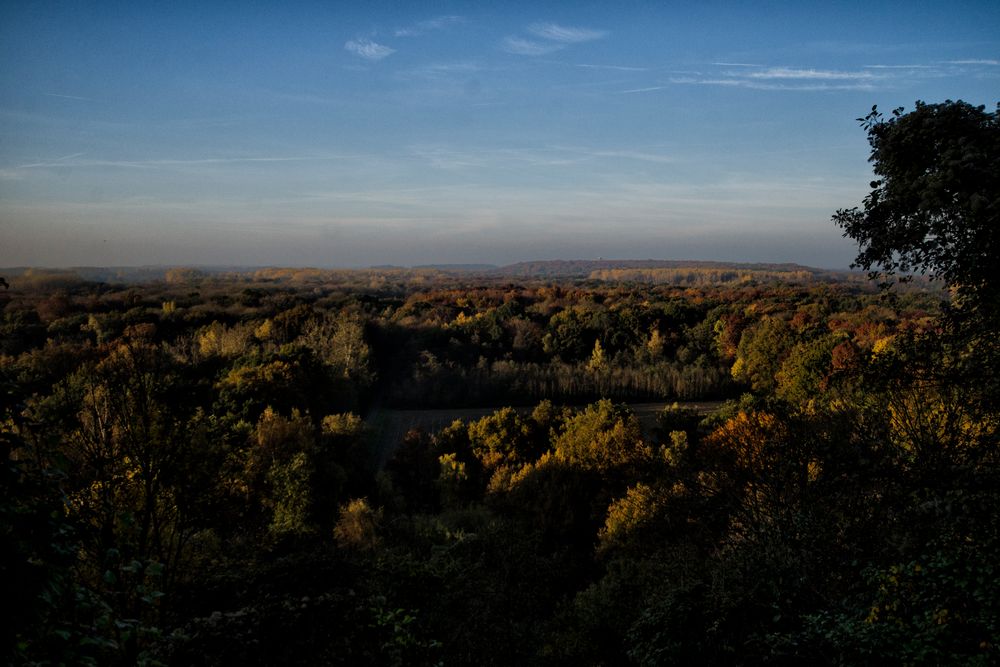 Herbstfarben #2#