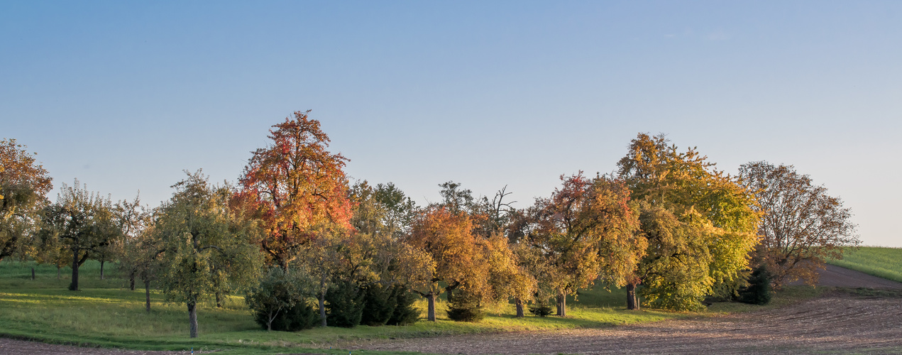 HERBSTFARBEN (2)