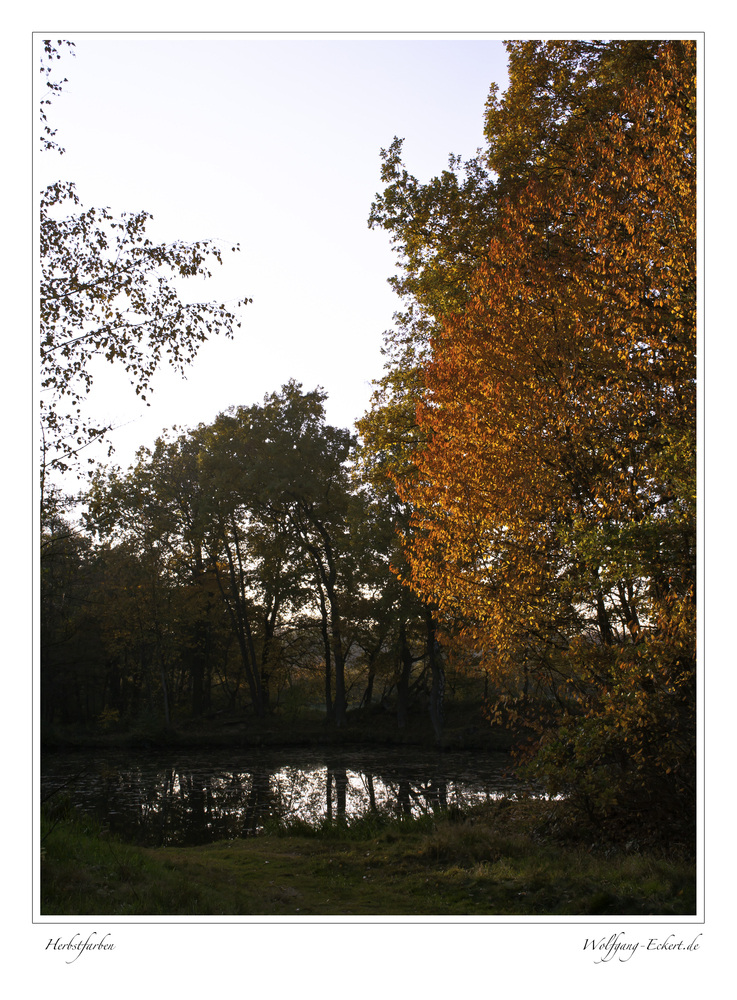 Herbstfarben (2)