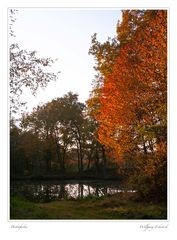 Herbstfarben (2)