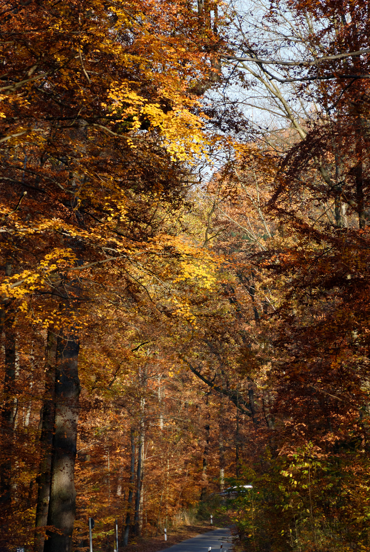 Herbstfarben 2