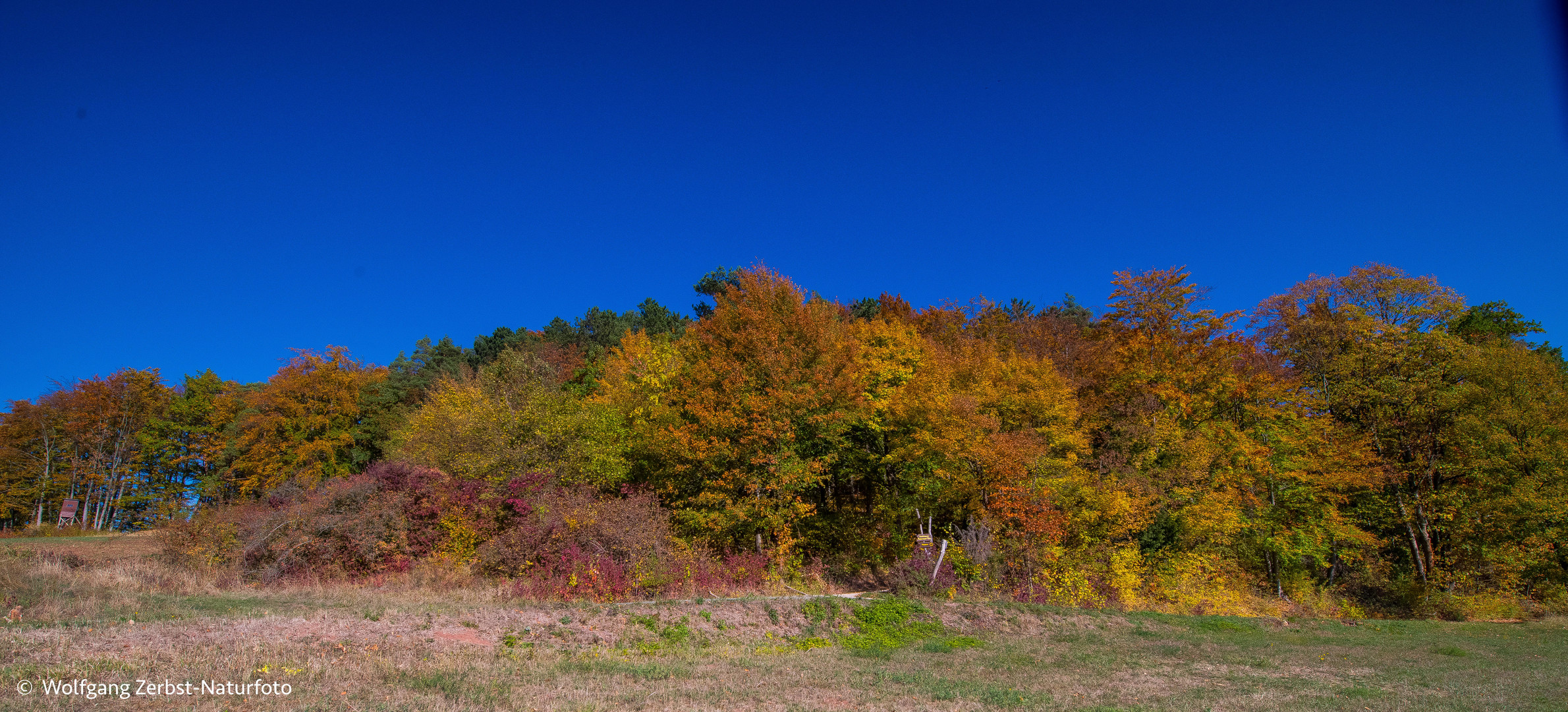 --- Herbstfarben 2 ---