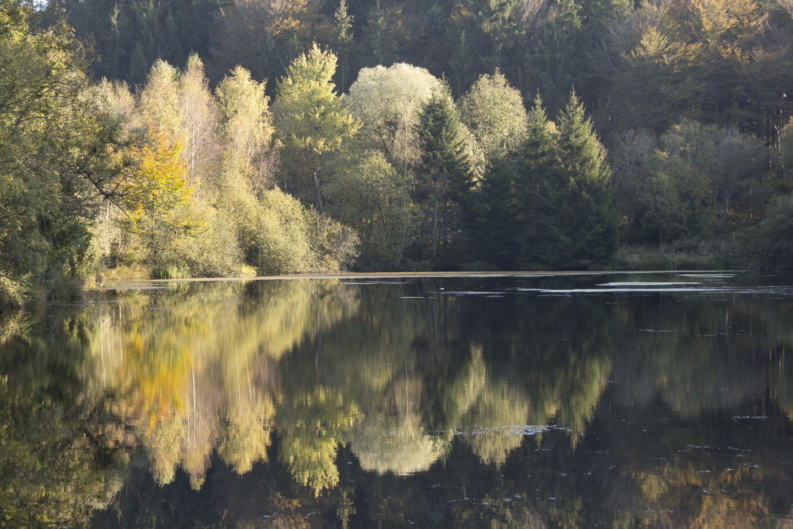 Herbstfarben (2)