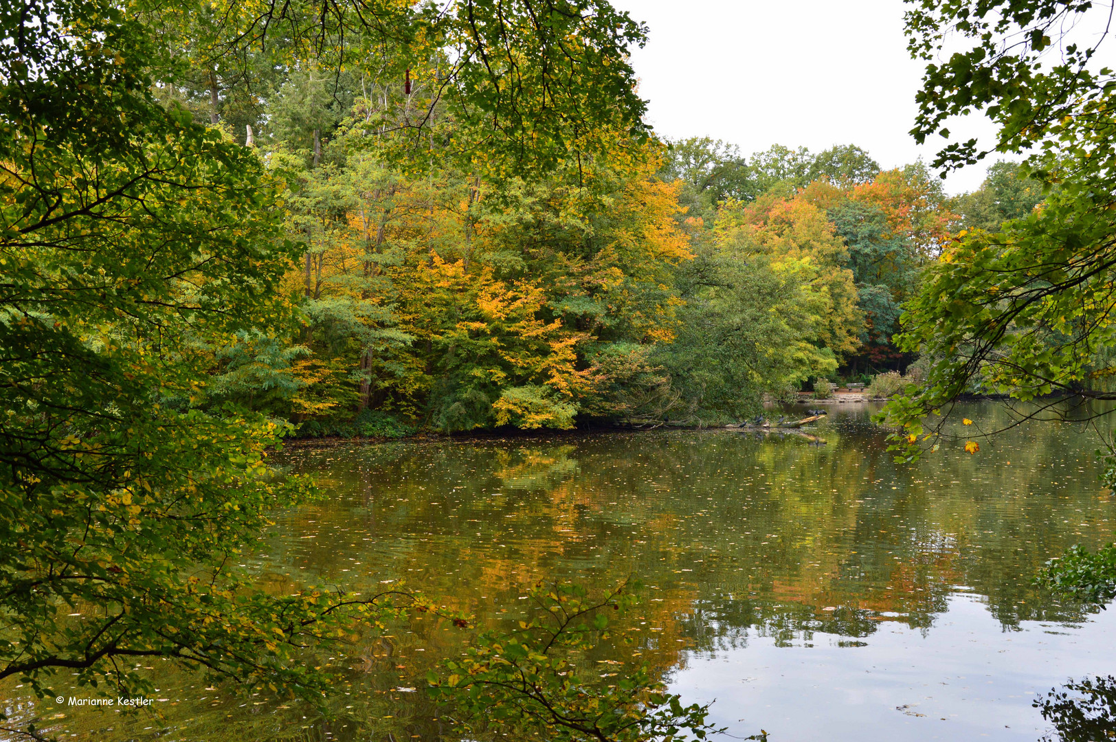 Herbstfarben - 2 -