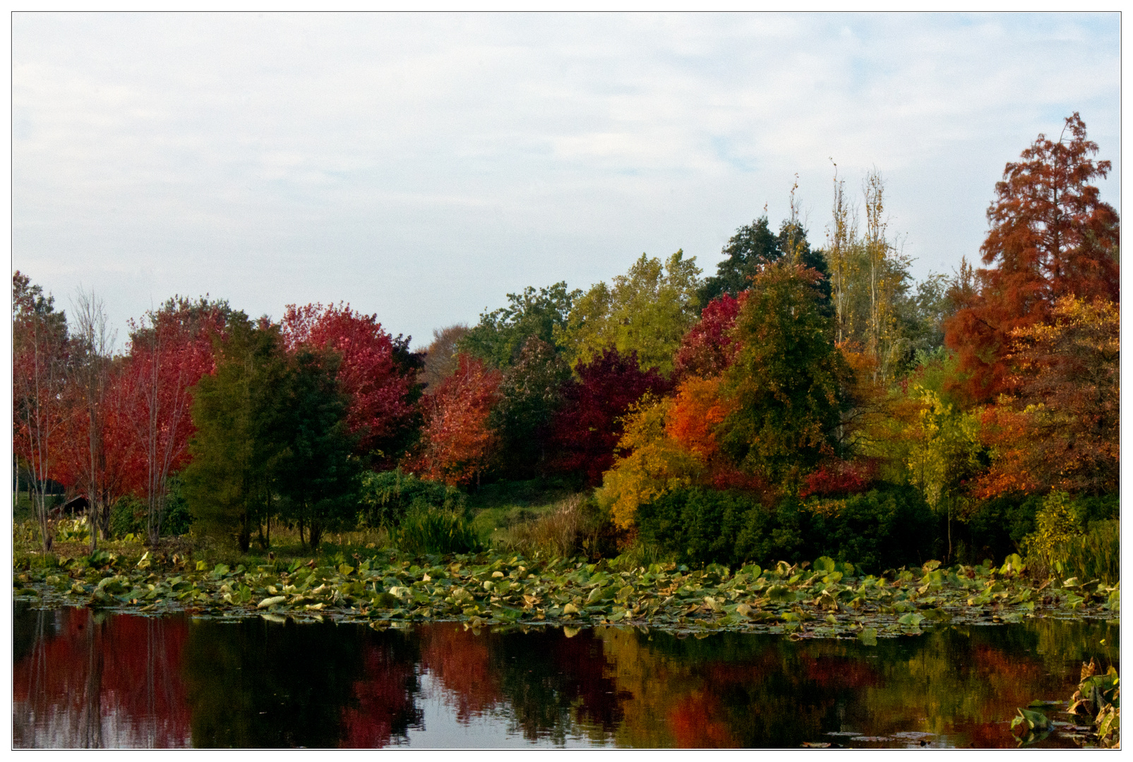 Herbstfarben 2