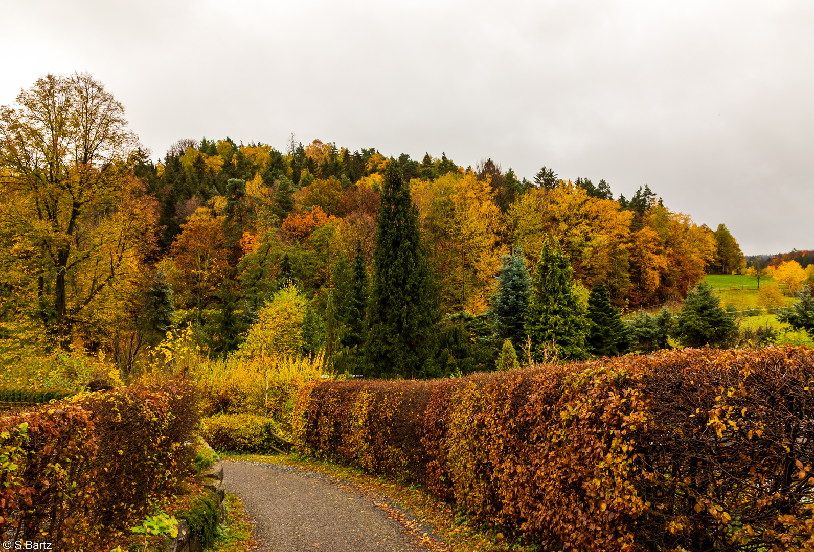 Herbstfarben (2)