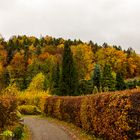 Herbstfarben (2)