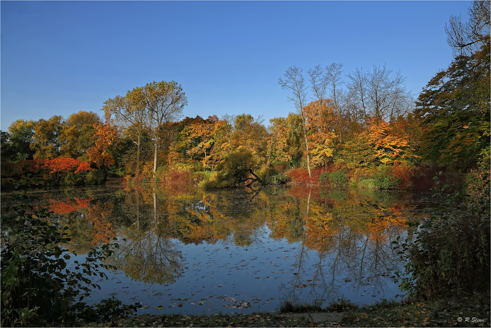 Herbstfarben 2