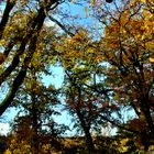 Herbstfarben 2