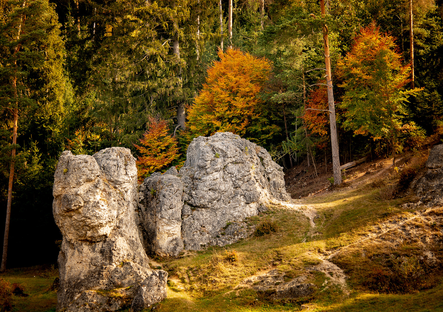 Herbstfarben 2