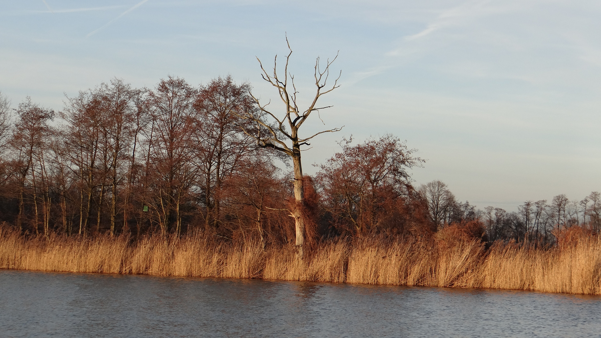 Herbstfarben 2013