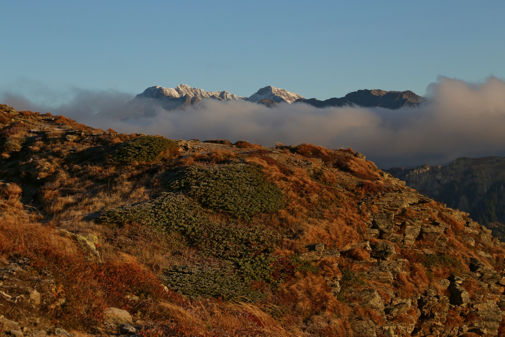 Herbstfarben (2016_10_05_EOS 6D_096_ji)