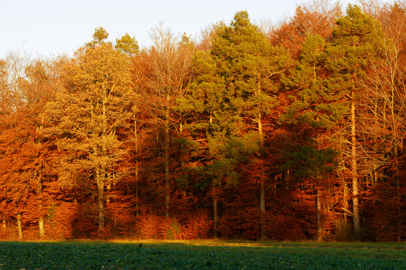 Herbstfarben 2021