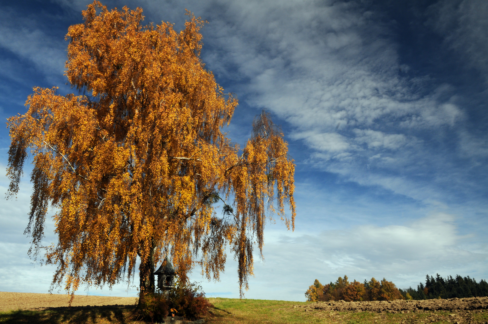 Herbstfarben