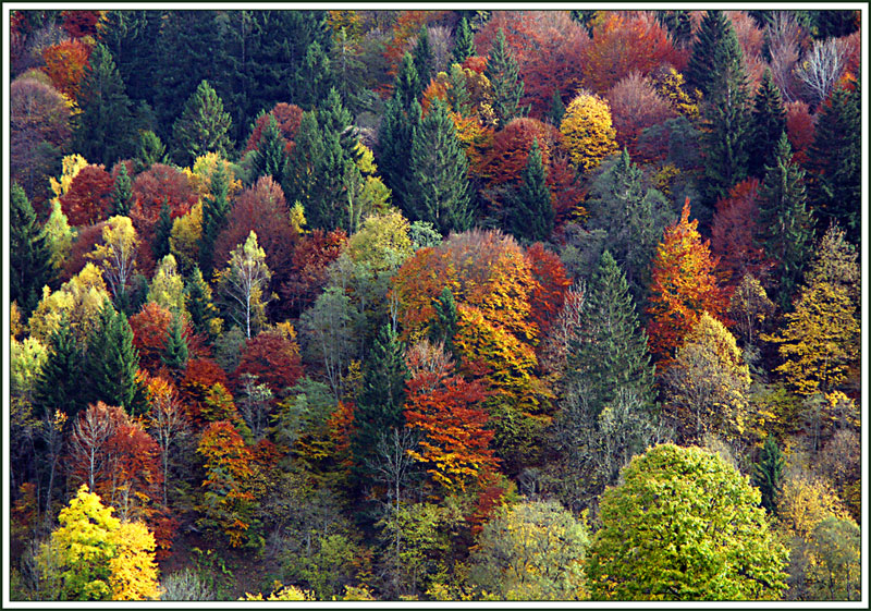 Herbstfarben