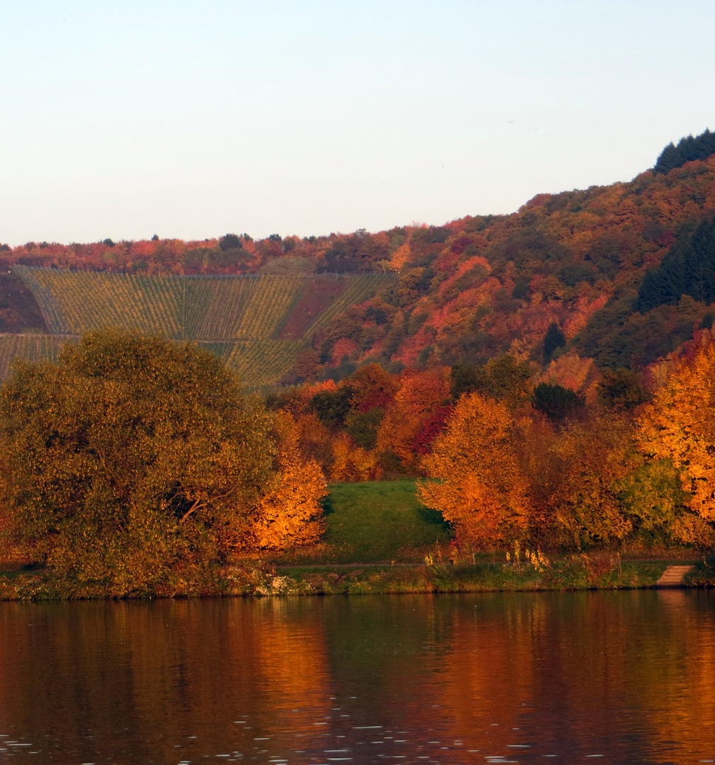 Herbstfarben