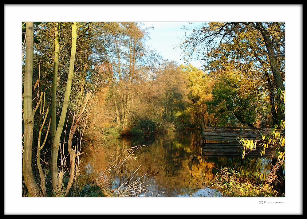 Herbstfarben..