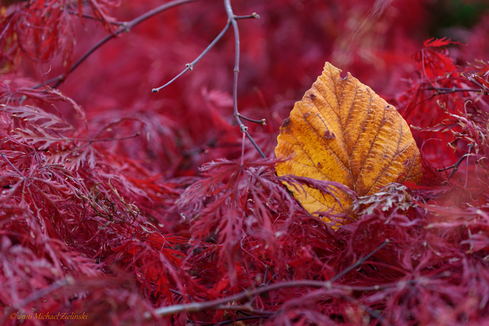 Herbstfarben