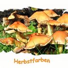 Herbstfarben