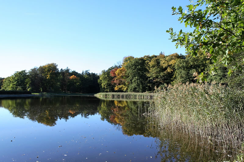 Herbstfarben