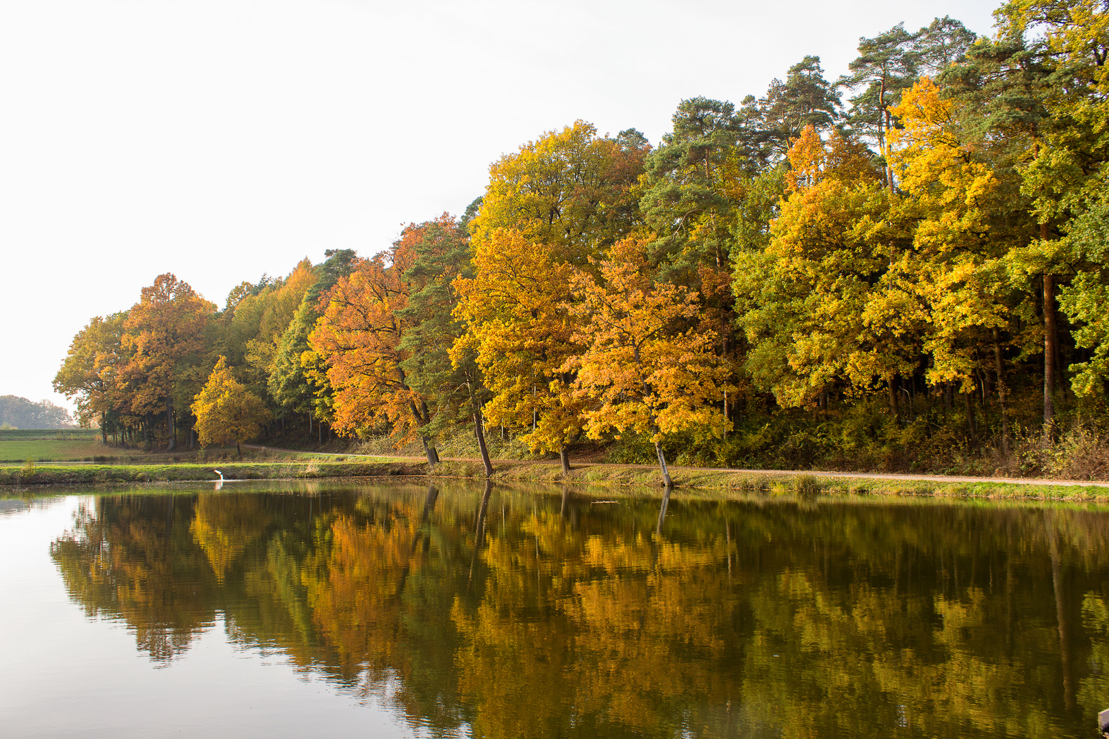 Herbstfarben