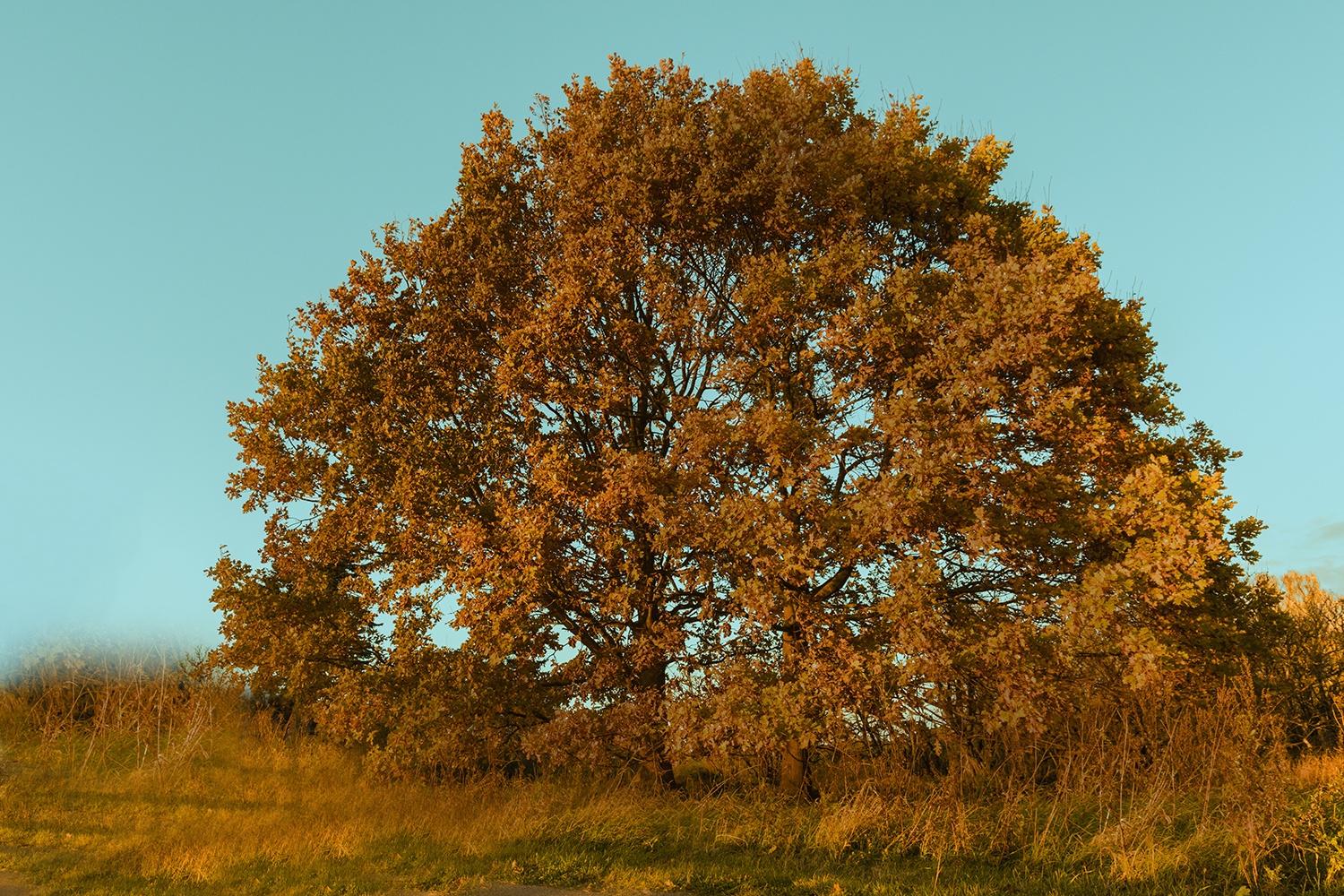 Herbstfarben