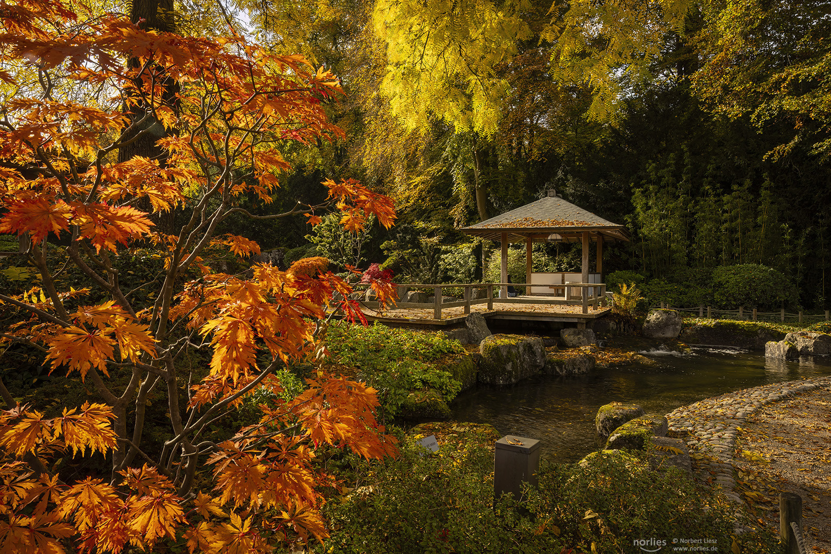 Herbstfarben