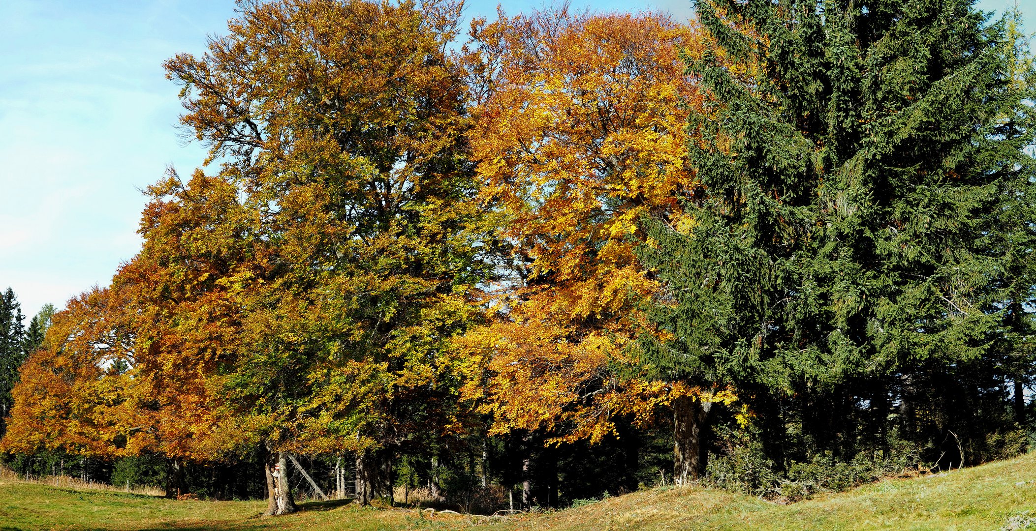 "Herbstfarben "