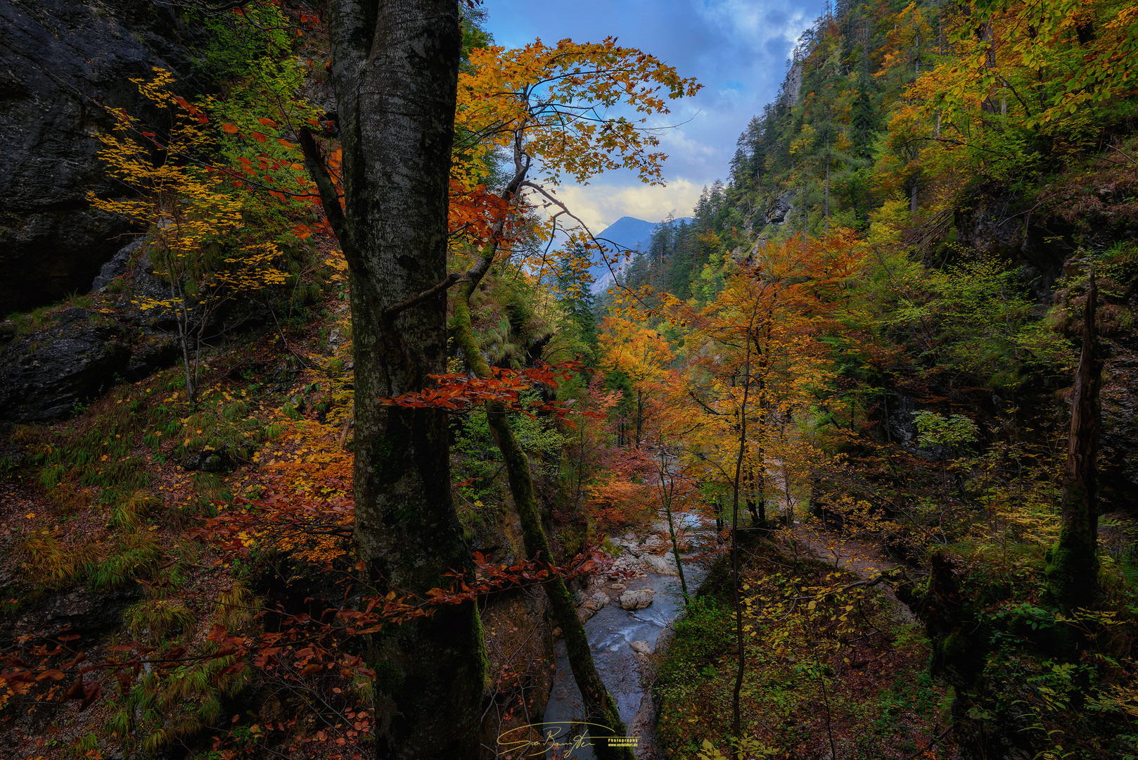 - Herbstfarben -