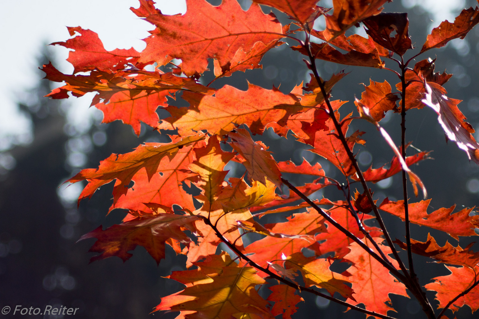 Herbstfarben