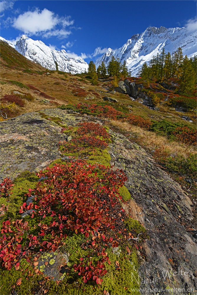 Herbstfarben