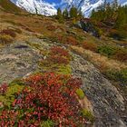 Herbstfarben