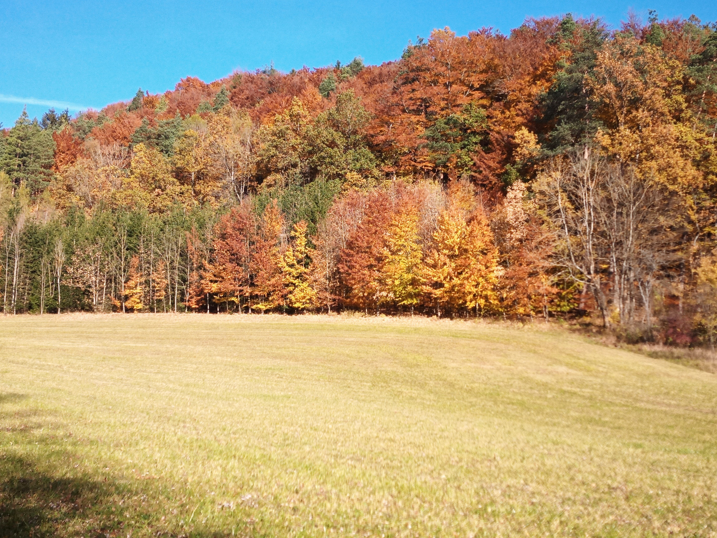 Herbstfarben 