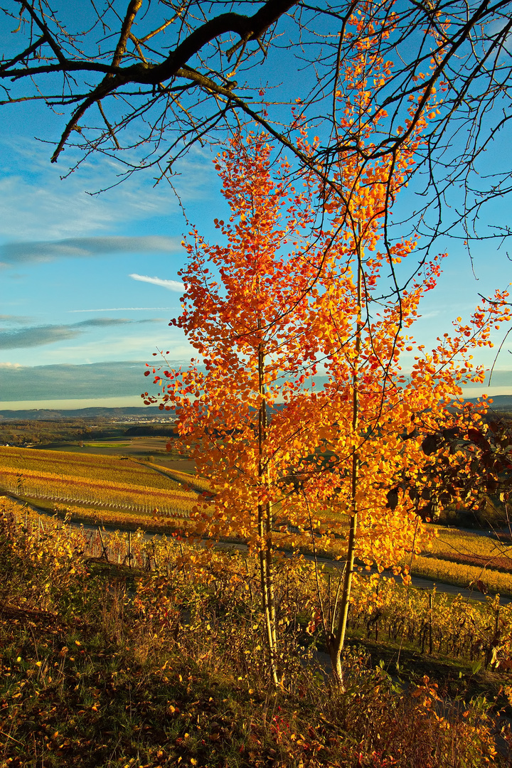 Herbstfarben