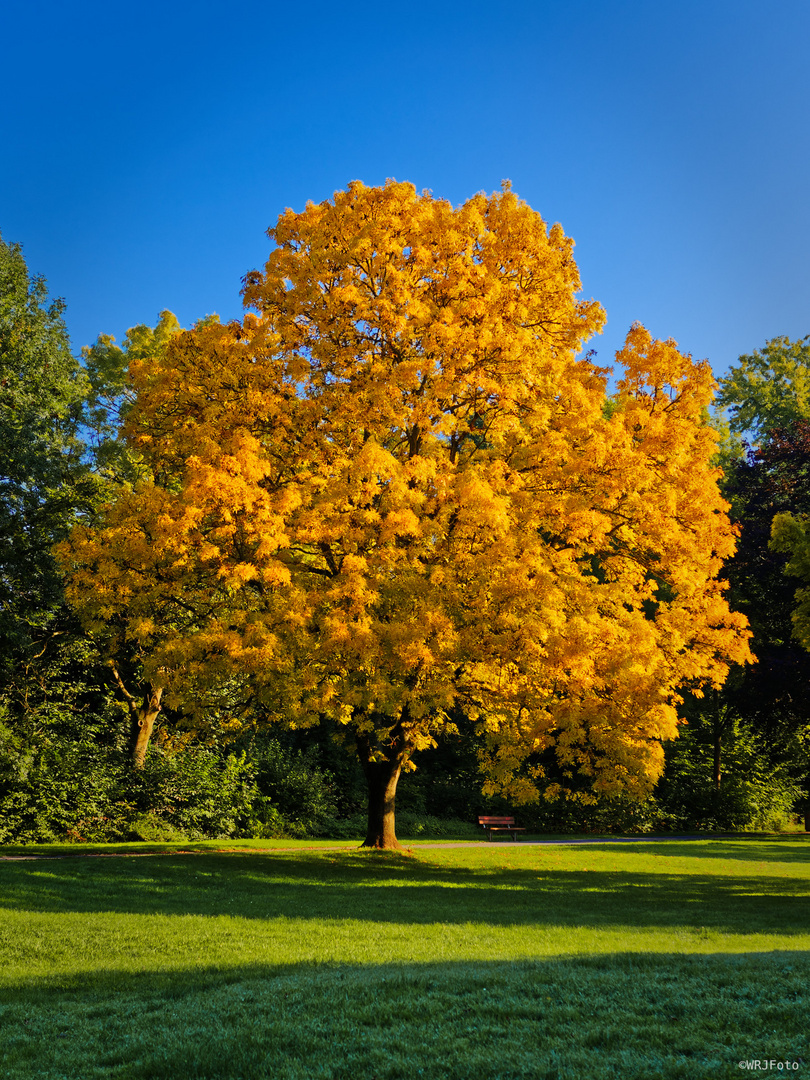 Herbstfarben