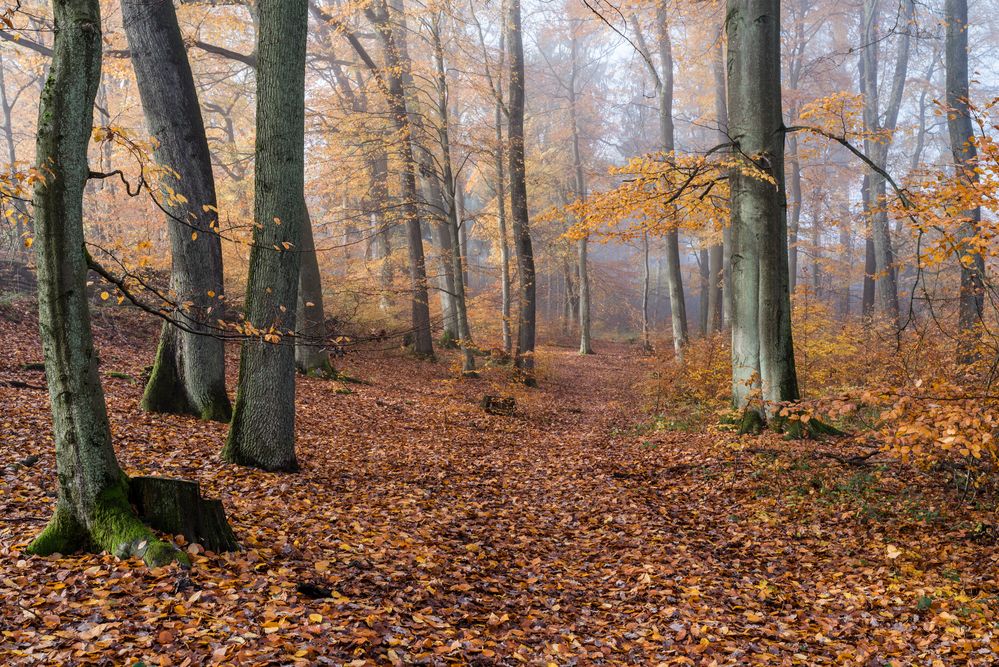 Herbstfarben