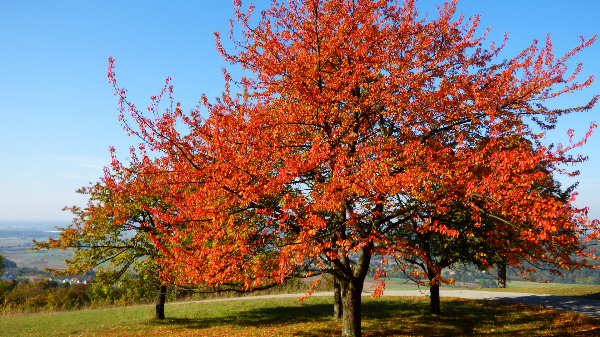 Herbstfarben